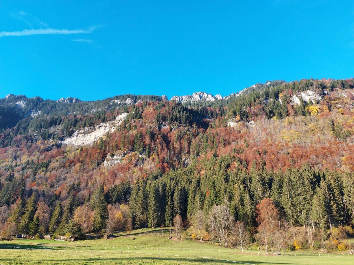 Fewo Sonnenberg Graswang Exteriör bild